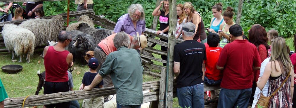 Whitevale Spring Festival